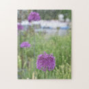 Recherche de allium Fleurs