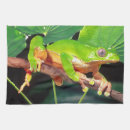 Recherche de grenouille cuisine linges Faune