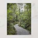 Recherche de forêt tropicale cartes postales Nature