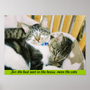 Zoek naar katten posters Slaperig