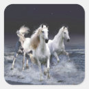 Recherche de chevaux sauvages autocollants De beaux chevaux