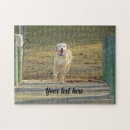 Recherche de labrador retriever puzzles Laboratoire