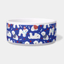 Recherche de bichon frisé Bichon frise dog