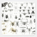 Zoek naar spinachtigen stickers Schorpioen