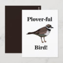 Recherche de pluviers cartes postales Oiseau