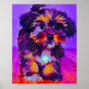 Recherche de chien pourpre posters Chiot