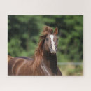 Recherche de casques puzzles Animal