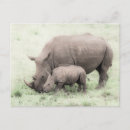 Recherche de rhinocéros blanc posters Sauvage