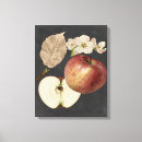 Recherche de des pommes art Fruits