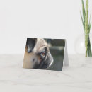 Zoek naar profiel kaarten Puppy