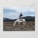 Recherche de fille de cheval cartes postales Équestre