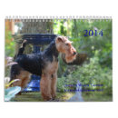 Recherche de gallois Terrier