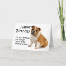 Recherche de bouledogue français joyeux anniversaire Animal de compagnie