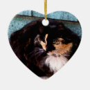 Recherche de ordination ornements Chat