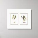 Recherche de palmier de art Arbres