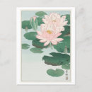 Recherche de koson cartes postales Rose