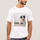 Recherche de de border collie tshirts Animal familier