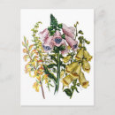 Recherche de motif renard cartes postales Fleur