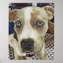 Recherche de puppy posters Bulle