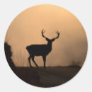 Recherche de silhouette animale autocollants Sauvage