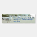 Recherche de bord photographie Ondes océaniques