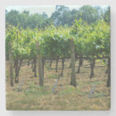 Recherche de vigne dessous de verres Vert