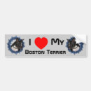 Recherche de terrier voiture autocollants Mignon