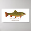 Recherche de trout posters Truite