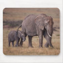Recherche de éléphant bébé tapis souris Faune