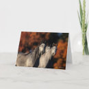 Zoek naar arabieren briefkaarten Staand