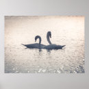 Recherche de séduction posters Oiseaux