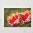 Recherche de tulipes invitations Jardin