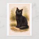 Recherche de illustration de chat noir cartes postales Vintage