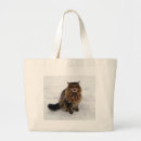 Recherche de capture sacs Chat