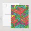 Recherche de oiseau de fleur de paradis cartes postales Coloré