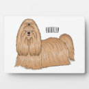 Recherche de cheveux plaques Dog