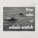 Recherche de baleine cartes postales Île