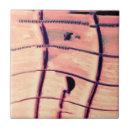 Recherche de guitare photographie Musicien