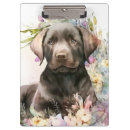 Recherche de labrador porte blocs Chiot