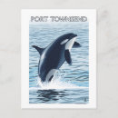 Recherche de townsend de port Lanterne