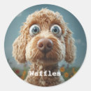 Recherche de yeux de chien autocollants Chiot