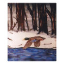 Recherche de canards sauvages posters Pour lui