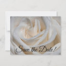 Recherche de mâchoires cartes postales Rose