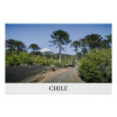 Recherche de volcan posters Arbres