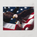 Recherche de aigle blanc cartes postales Bleu