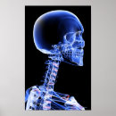 Recherche de corps ver posters Partie