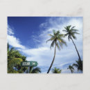 Recherche de south beach miami cartes postales Fruit