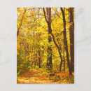 Recherche de route vide cartes postales Jour