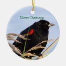 Recherche de oiseau rouge ornements Oiseaux
