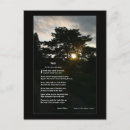 Recherche de joyce cartes postales Arbres